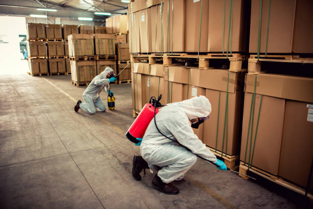 Best Pest Removal Services  in Blountville, TN