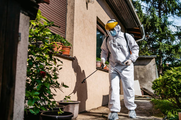 Best Emergency Pest Control  in Blountville, TN