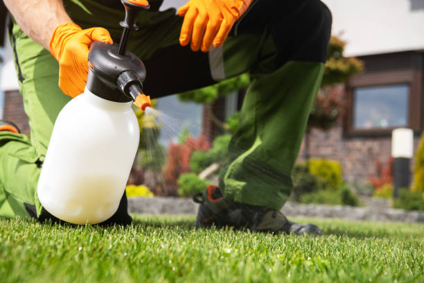 Best Pest Control Treatment  in Blountville, TN