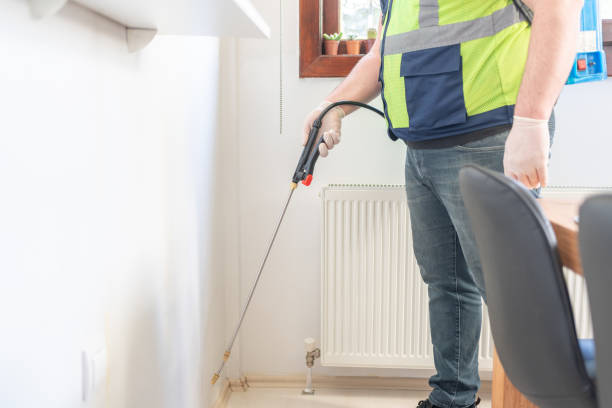 Professional Pest Control in Blountville, TN