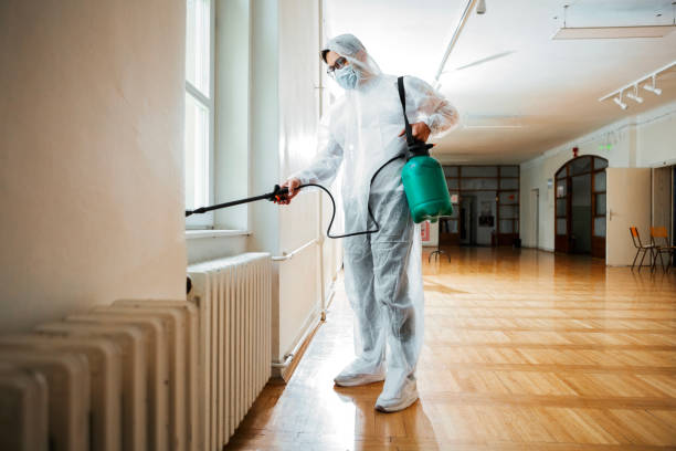 Wasp Removal Services in Blountville, TN