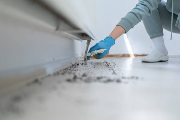 Best Commercial Pest Control Services  in Blountville, TN