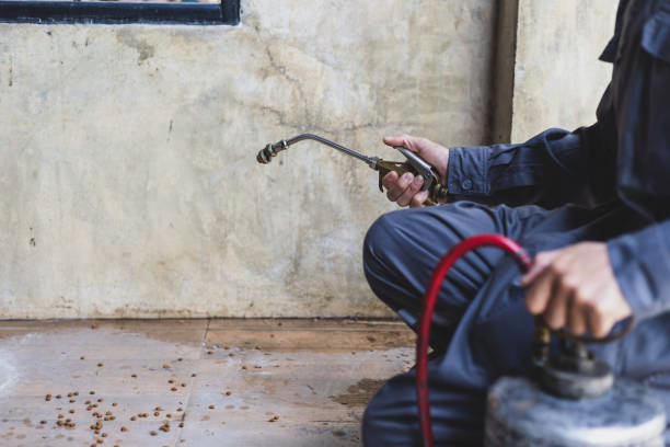 Pest Prevention Services in Blountville, TN